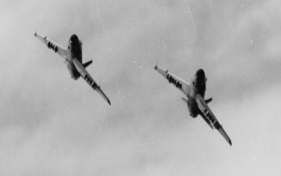 804.jpg