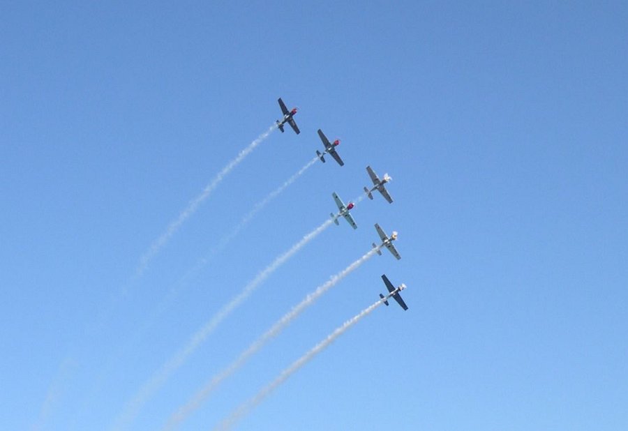 DSCN1509.jpg