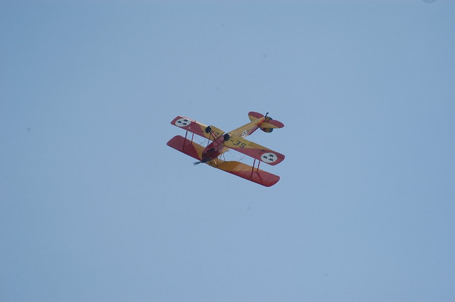 DSC_9575.JPG
