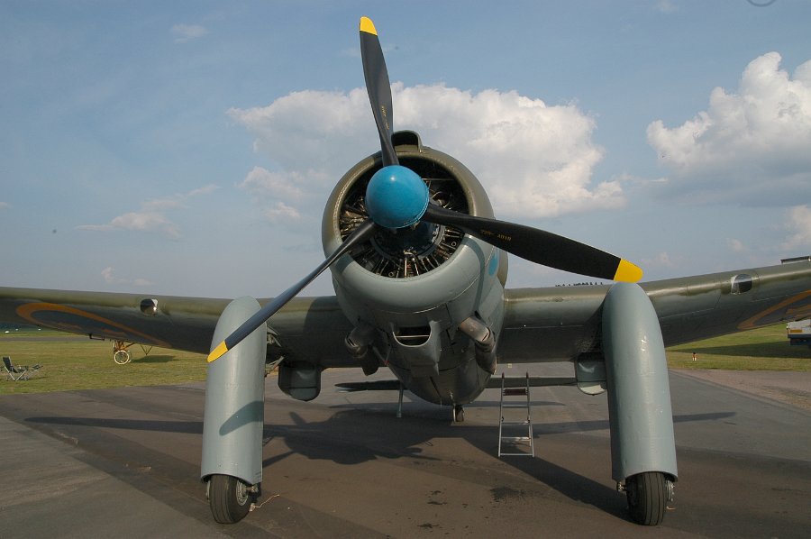DSC_9972.JPG