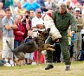 FK060813-MF-FLYGFEST-1B04D6