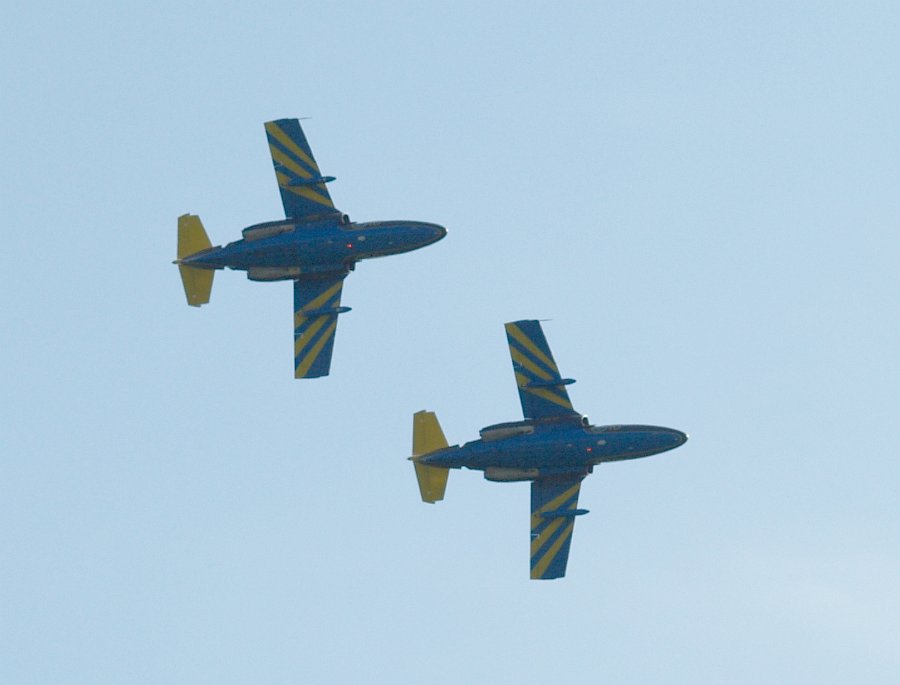 P8080341b.jpg