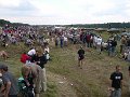 DSCN6228