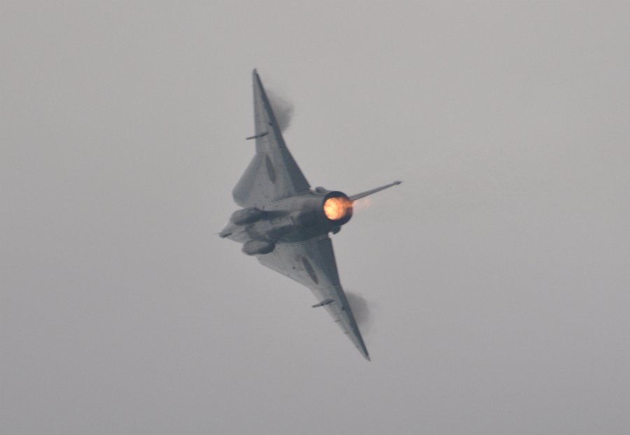 DSC_0203.JPG
