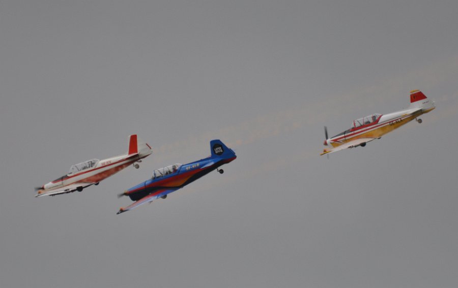 DSC_0290.JPG