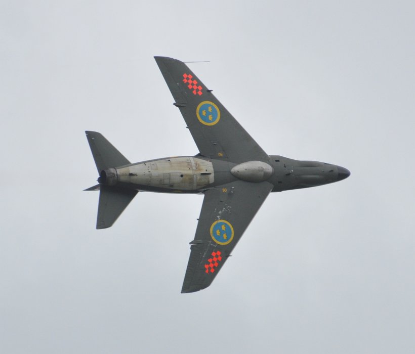 DSC_0339.JPG