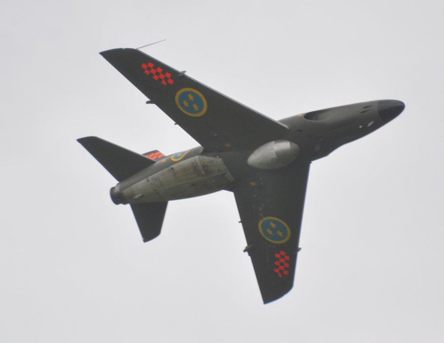 DSC_0350.JPG