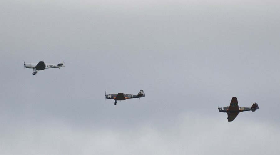 DSC_0445.JPG