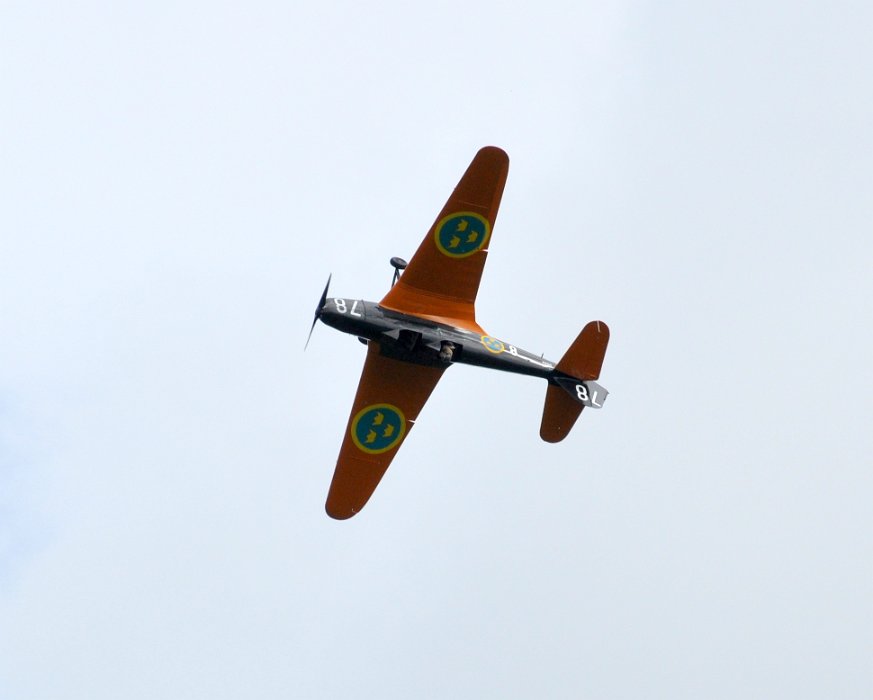 DSC_0461.JPG