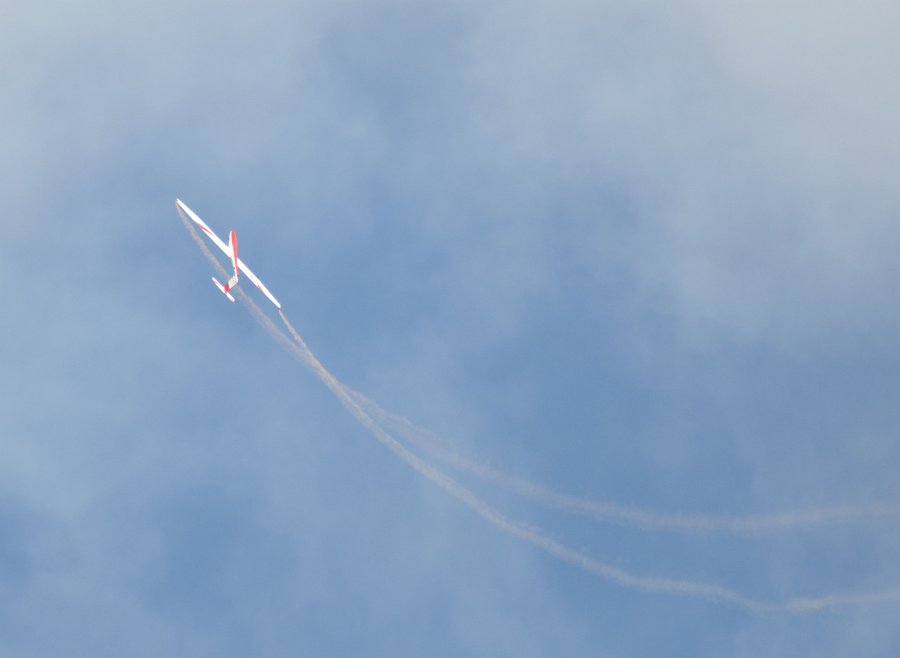 DSC_0779.JPG