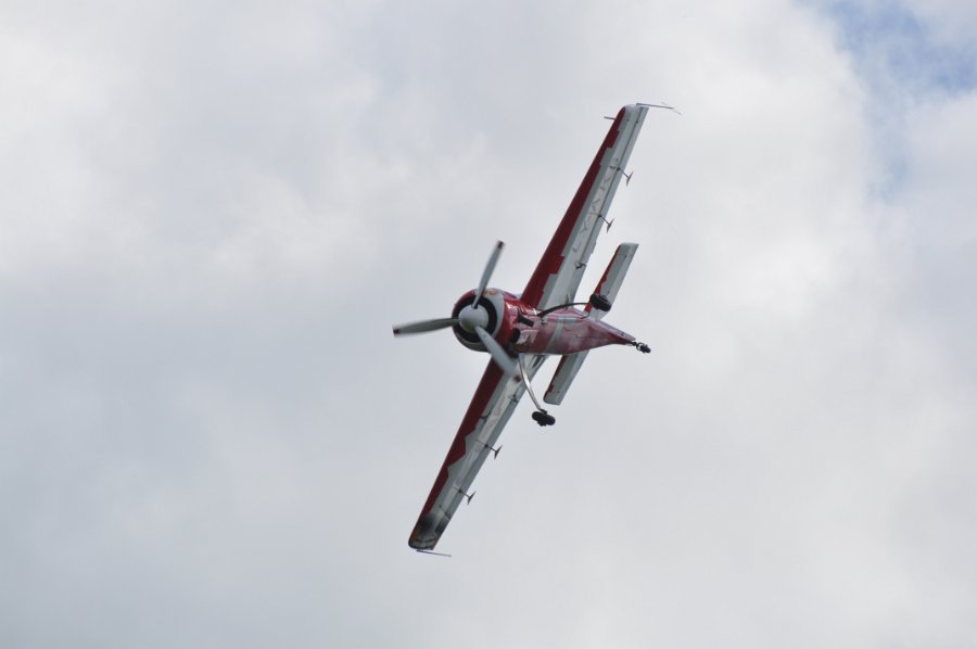 DSC_1538.JPG