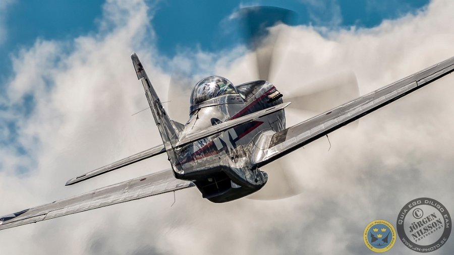 2015_08_08_4044_NIK.jpg - Cavalier F-51D Mustang 2