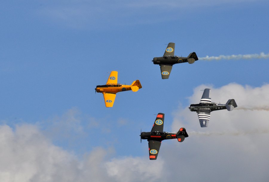 DSC_0857.JPG