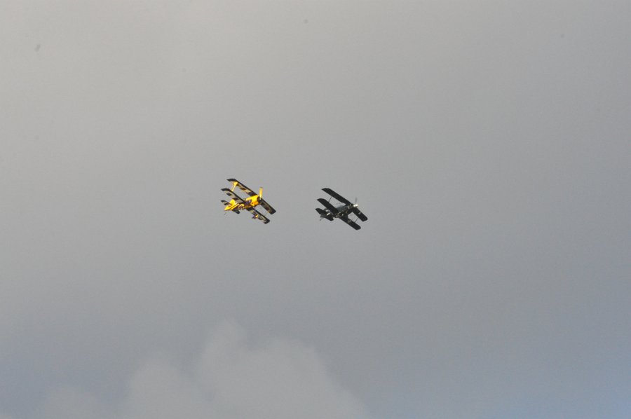 DSC_0831.JPG