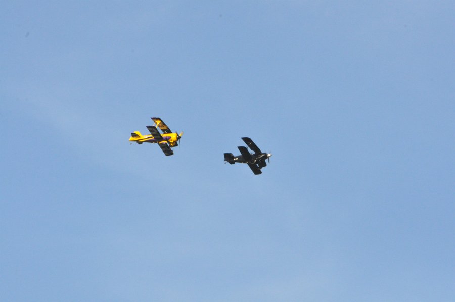 DSC_0832.JPG