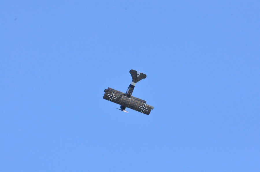DSC_0984.JPG