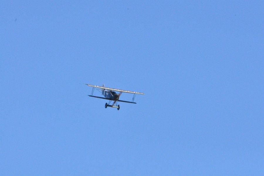 DSC_0986.JPG