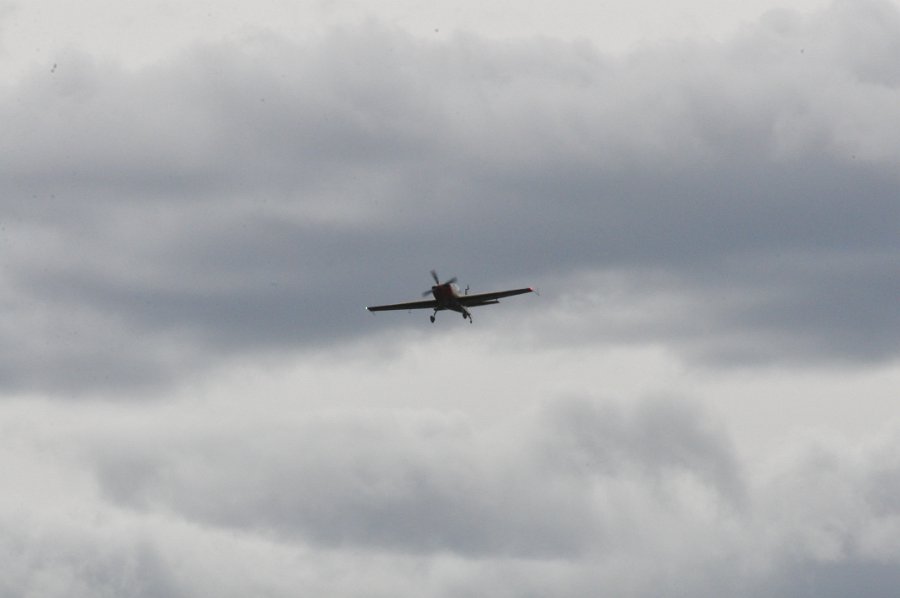 DSC_0503.JPG