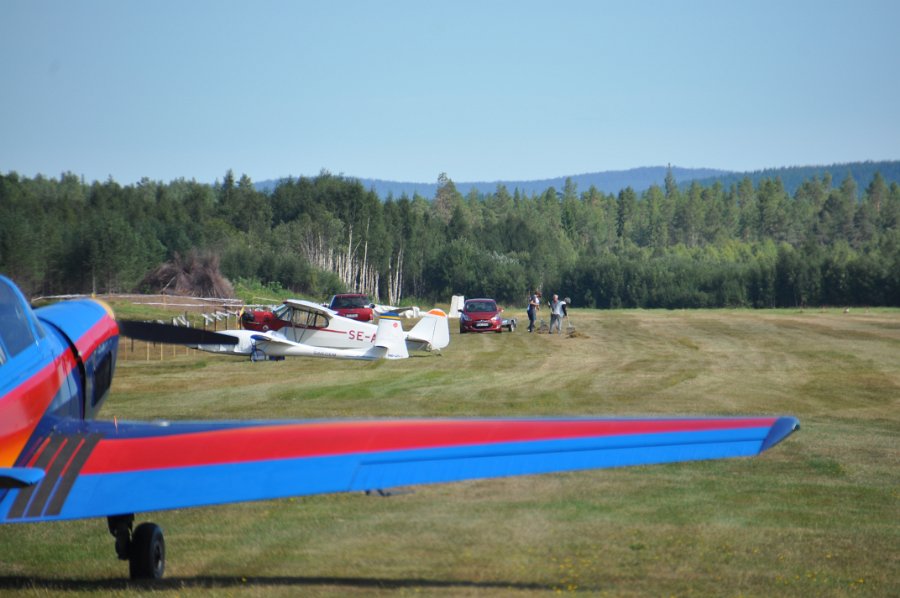 DSC_0533.JPG