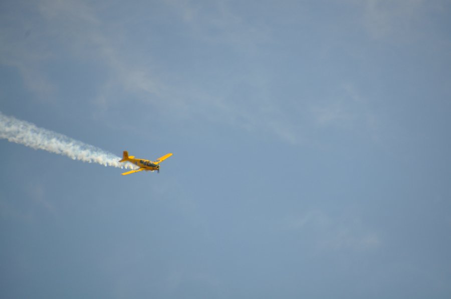 DSC_0545.JPG