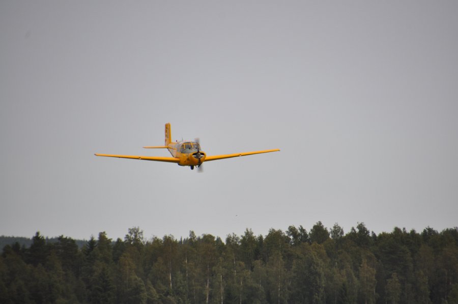 DSC_0552.JPG