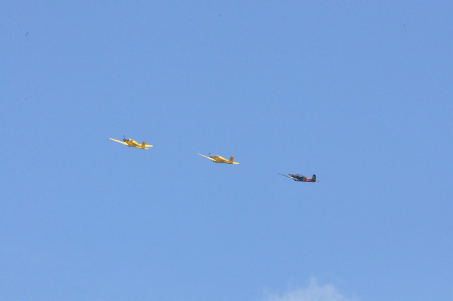 DSC_0568.JPG