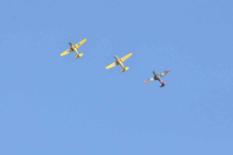DSC_0569.JPG