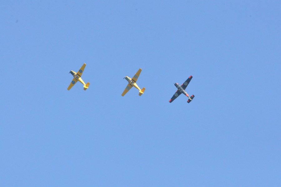 DSC_0570.JPG