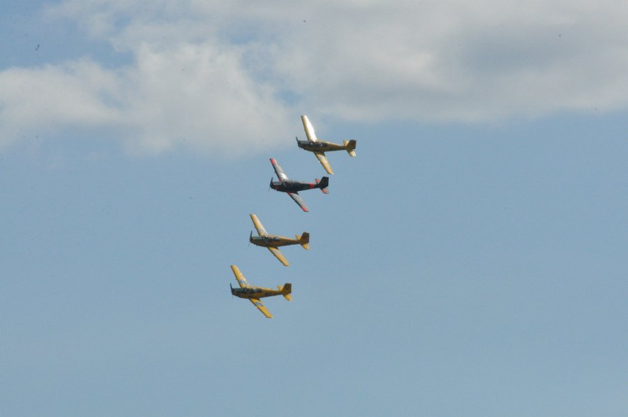 DSC_0600.JPG