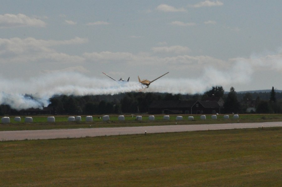 DSC_0613.JPG