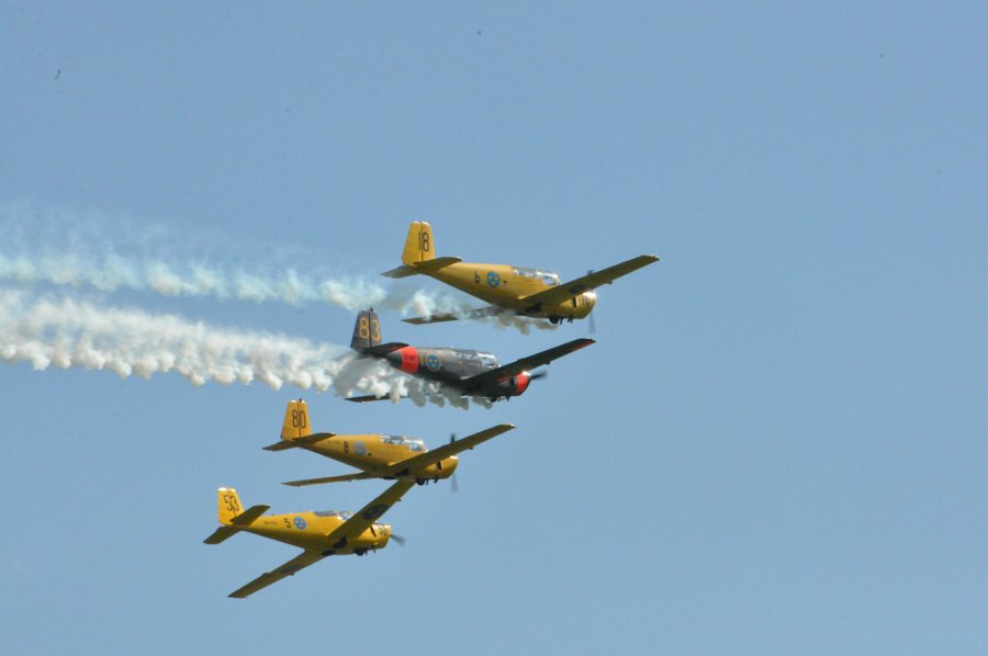 DSC_0622.JPG
