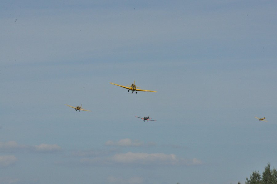 DSC_0623.JPG