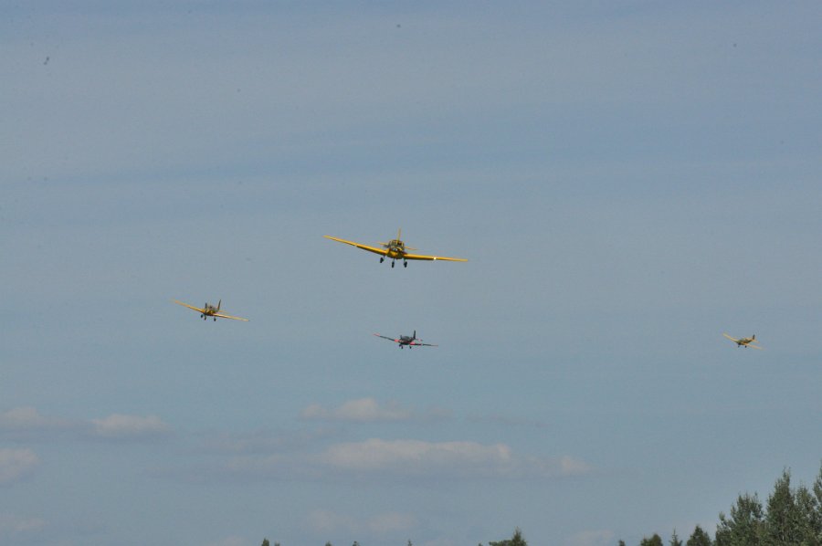 DSC_0624.JPG