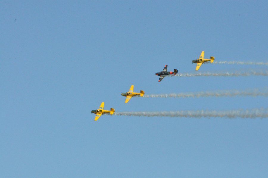 DSC_0655.JPG
