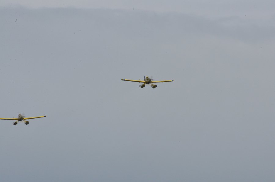 DSC_0602.JPG