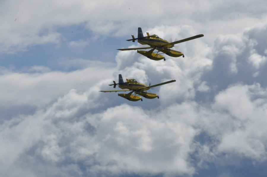 DSC_0603.JPG