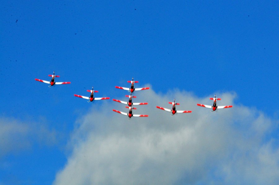 DSC_0669.JPG