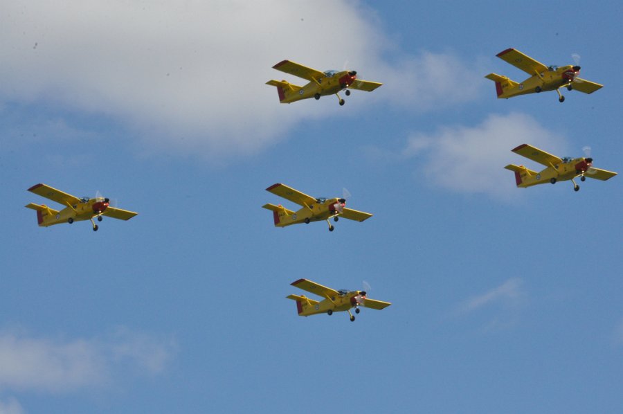 DSC_0733.JPG