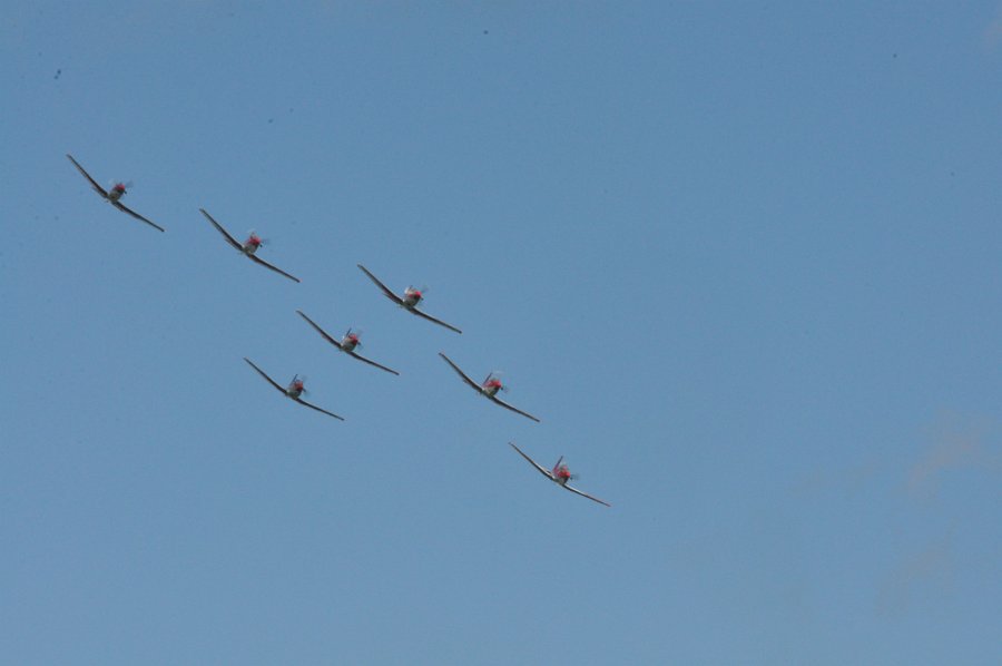DSC_0762.JPG
