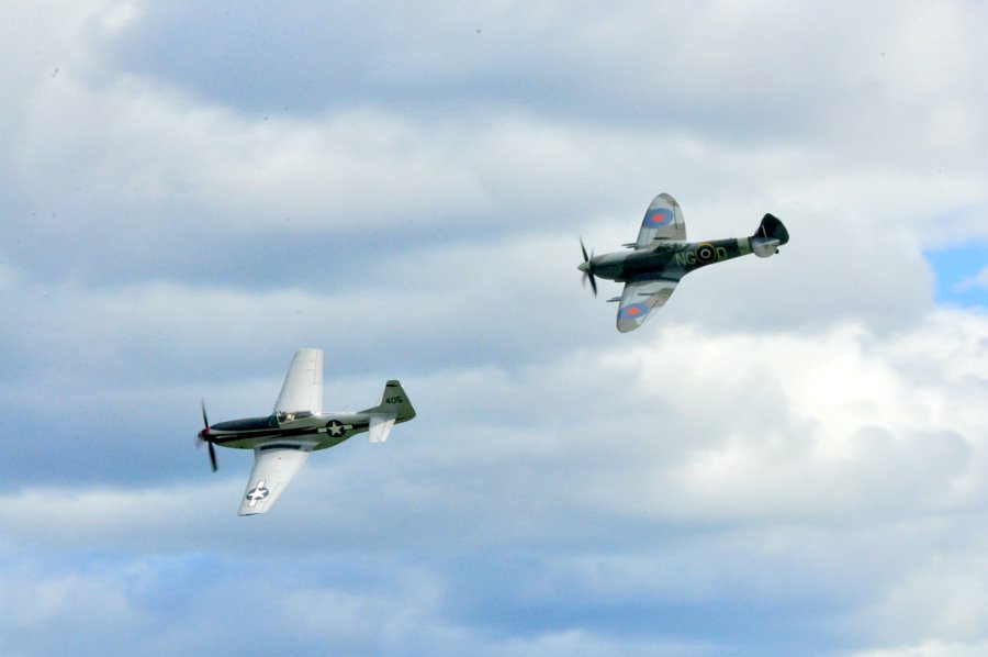 DSC_0781.JPG