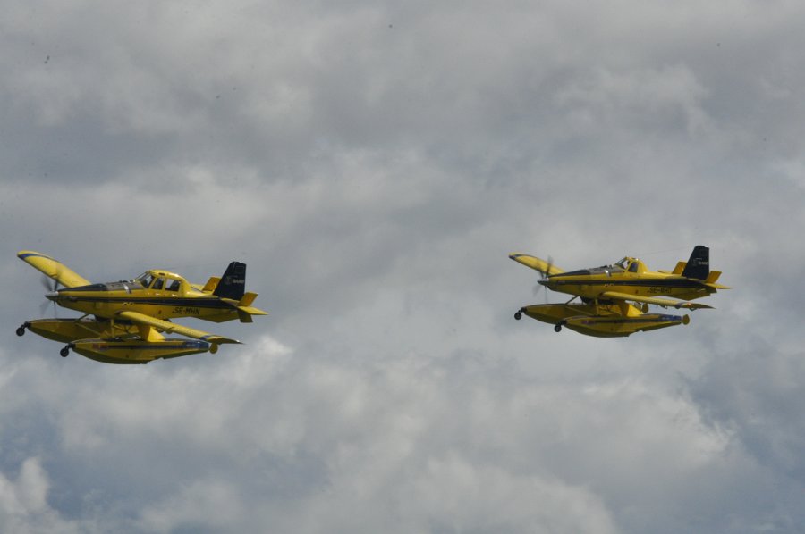 DSC_0783.JPG