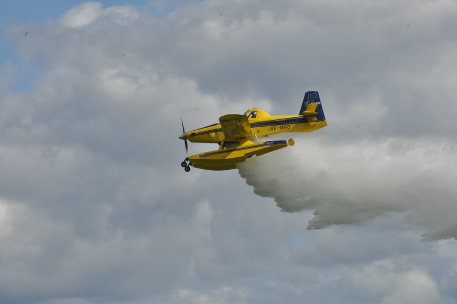 DSC_0785.JPG